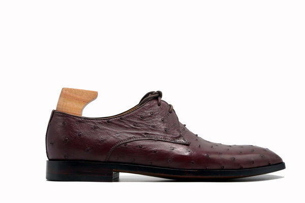 Derby Ostrich Leather Shoes